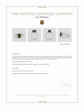 Jewelry Appraisal