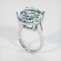 18.94 Ct. Gemstone Ring, Platinum 950 2