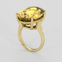 16.27 Ct. Yellow Citrine Ring, 10K Yellow Gold 2