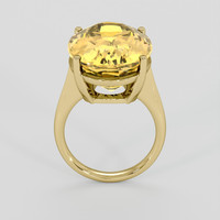 16.27 Ct. Yellow Citrine Ring, 10K Yellow Gold 3
