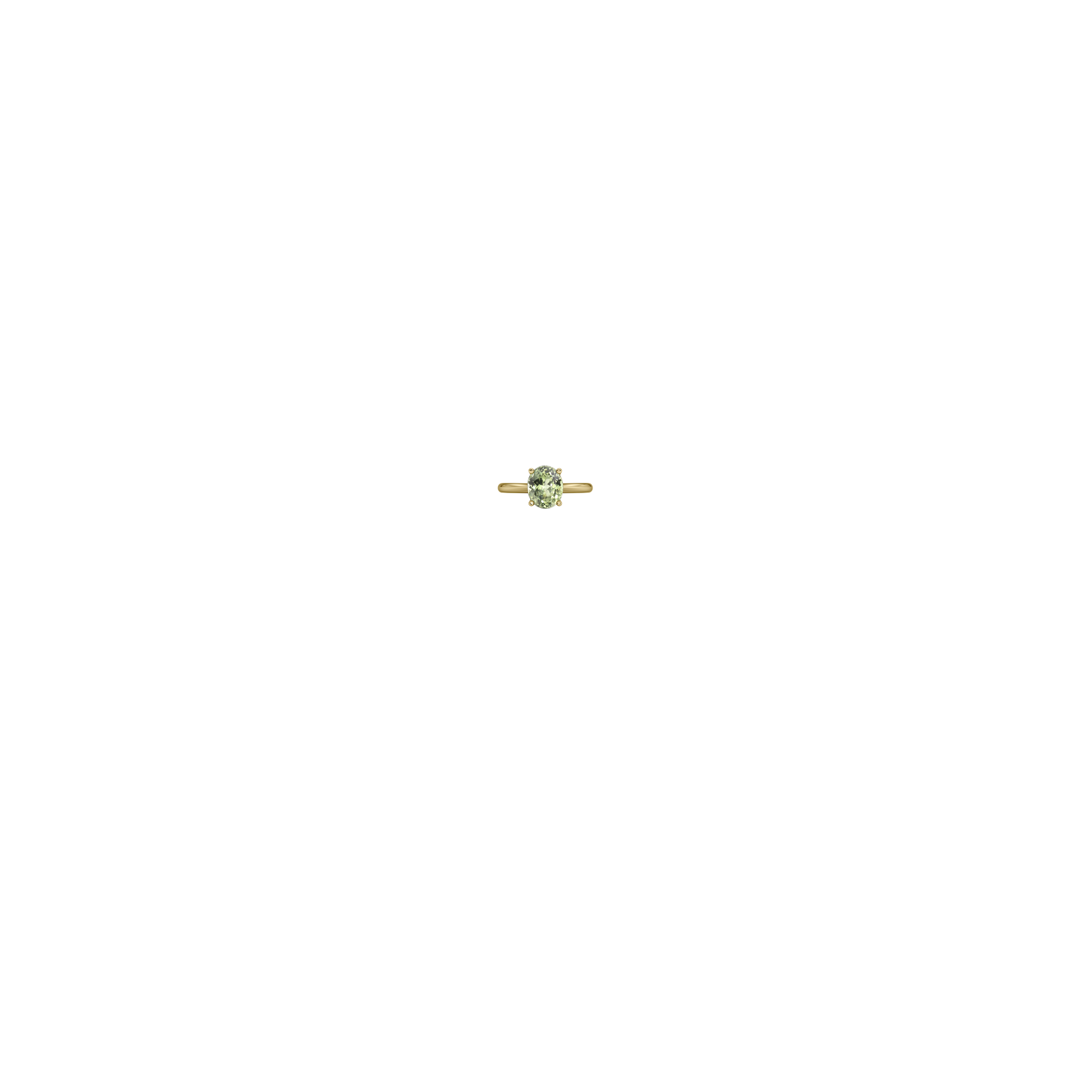 Jewelry image on model