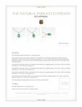 Jewelry Appraisal