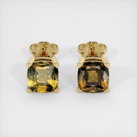 <span>3.16</span>&nbsp;<span class="tooltip-light">Ct.Tw.<span class="tooltiptext">Total Carat Weight</span></span> Gemstone Earrings, 14K Yellow Gold 1