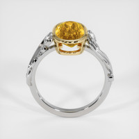 3.00 Ct. Gemstone Ring, 14K Yellow & White 3