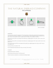 Jewelry Appraisal