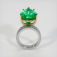 14.84 Ct. Emerald Ring, 18K Yellow & White 3