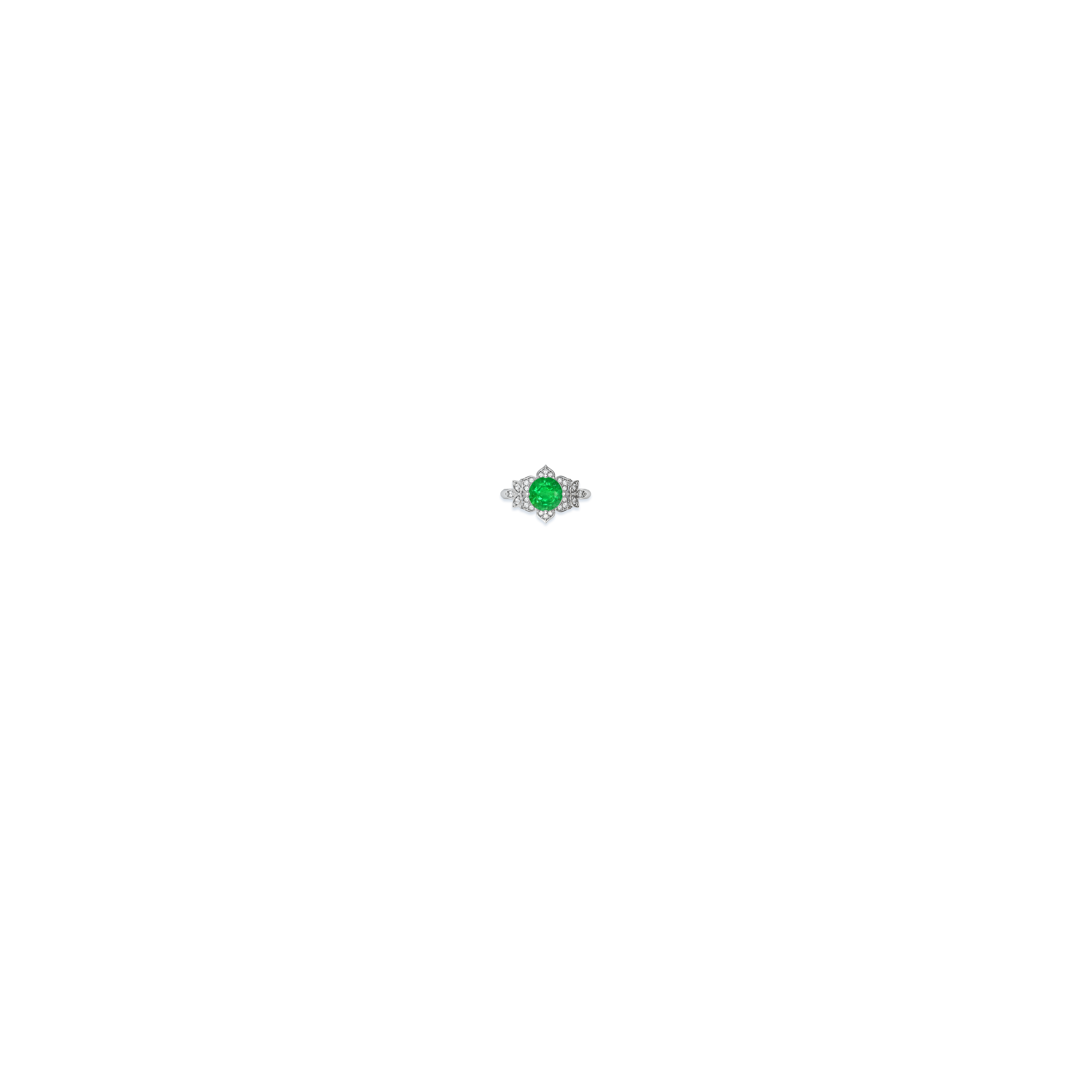 Jewelry image on model