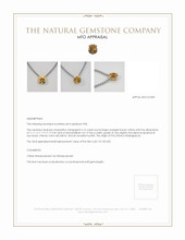 Jewelry Appraisal