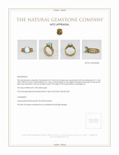 Jewelry Appraisal