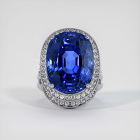 31.13 Ct. Sapphire Ring, 14K White Gold 1