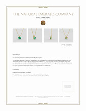 Jewelry Appraisal