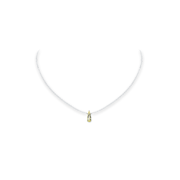 Jewelry image on model