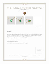 Emerald Necklace 0.89 Ct. 18K Yellow Gold Appraisal
