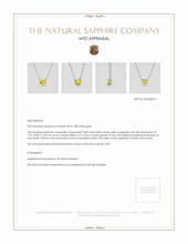 Jewelry Appraisal