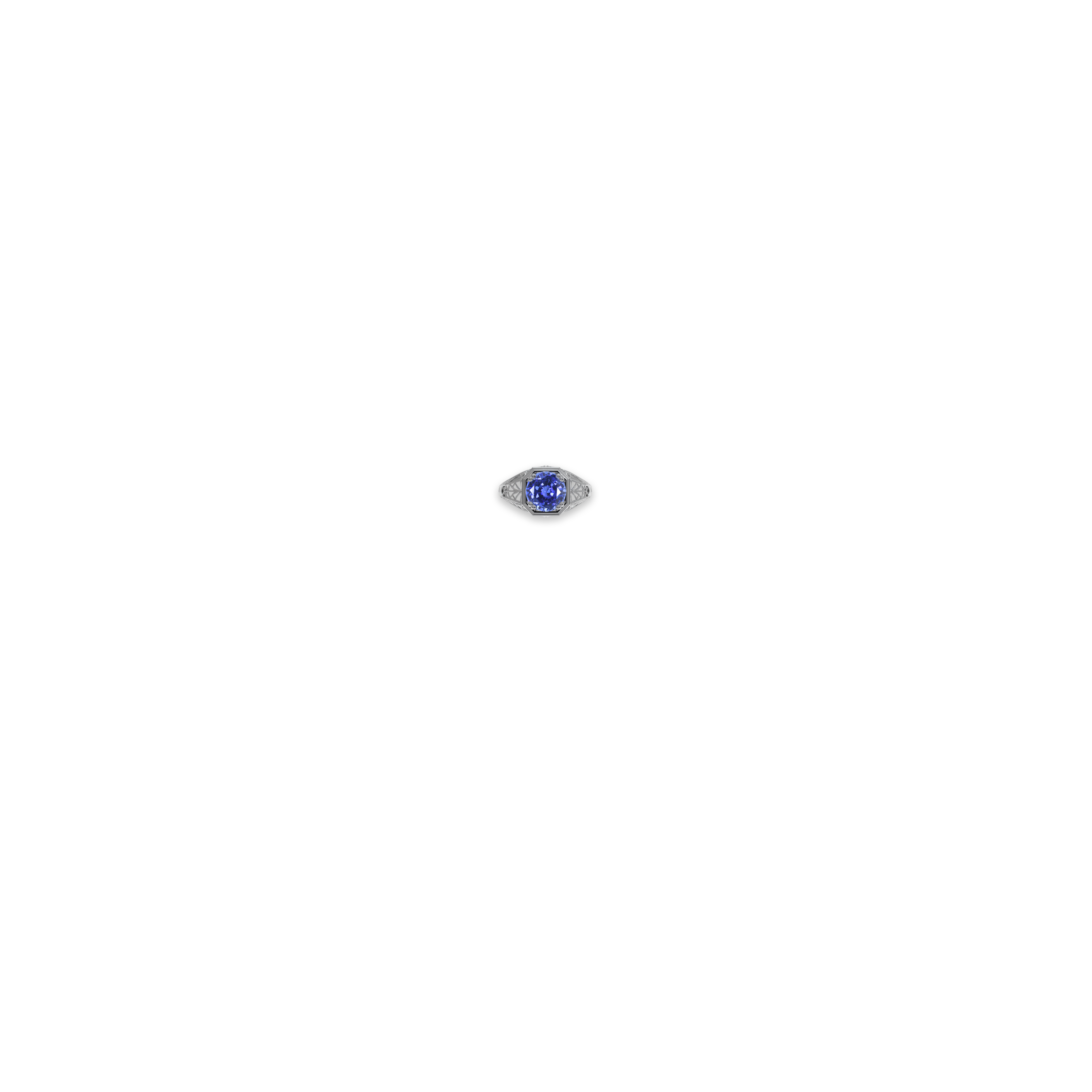 Jewelry image on model