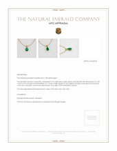 Emerald Pendant 2.76 Ct., 18K Yellow Gold Appraisal