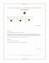 Jewelry Appraisal