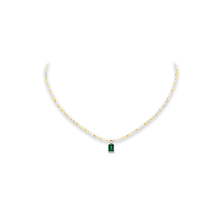 Jewelry image on model