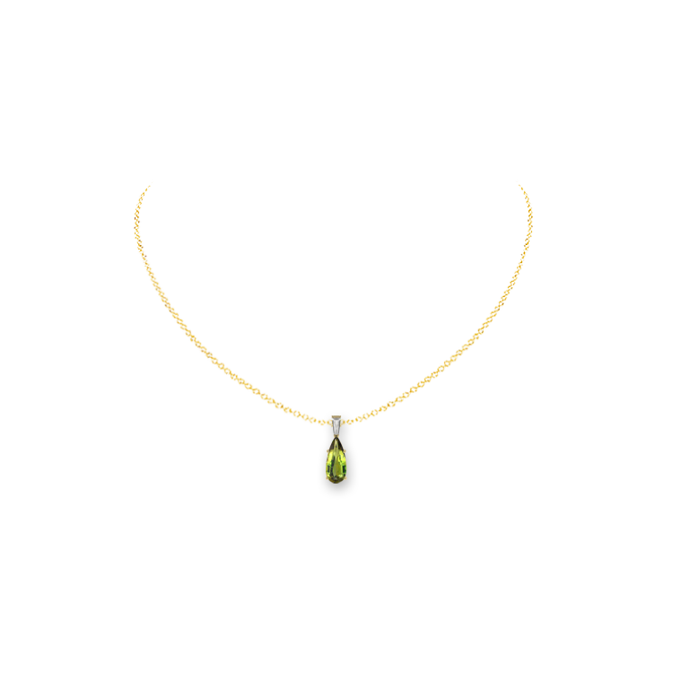 Jewelry image on model