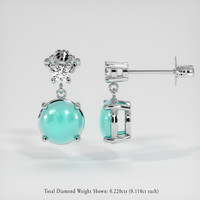 <span>1.00</span>&nbsp;<span class="tooltip-light">Ct.Tw.<span class="tooltiptext">Total Carat Weight</span></span> Gemstone Earrings, Platinum 950 2