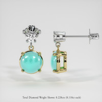 <span>1.00</span>&nbsp;<span class="tooltip-light">Ct.Tw.<span class="tooltiptext">Total Carat Weight</span></span> Gemstone Earrings, 14K Yellow & White 2