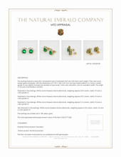 Jewelry Appraisal