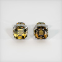 <span>3.16</span>&nbsp;<span class="tooltip-light">Ct.Tw.<span class="tooltiptext">Total Carat Weight</span></span> Gemstone Earrings, Platinum 950 1