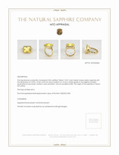 Jewelry Appraisal