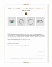Jewelry Appraisal