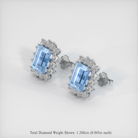 5.98 Ct.Tw. Gemstone Earrings, Platinum 950 2