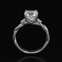 Jewelry Image