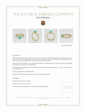 Jewelry Appraisal