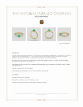 Jewelry Appraisal