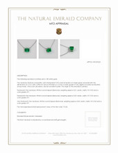 Emerald Necklace 0.92 Ct. 18K White Gold Appraisal