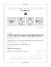 Jewelry Appraisal