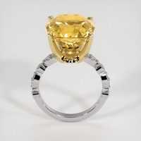 8.80 Ct. Gemstone Ring, 14K Yellow & White 3