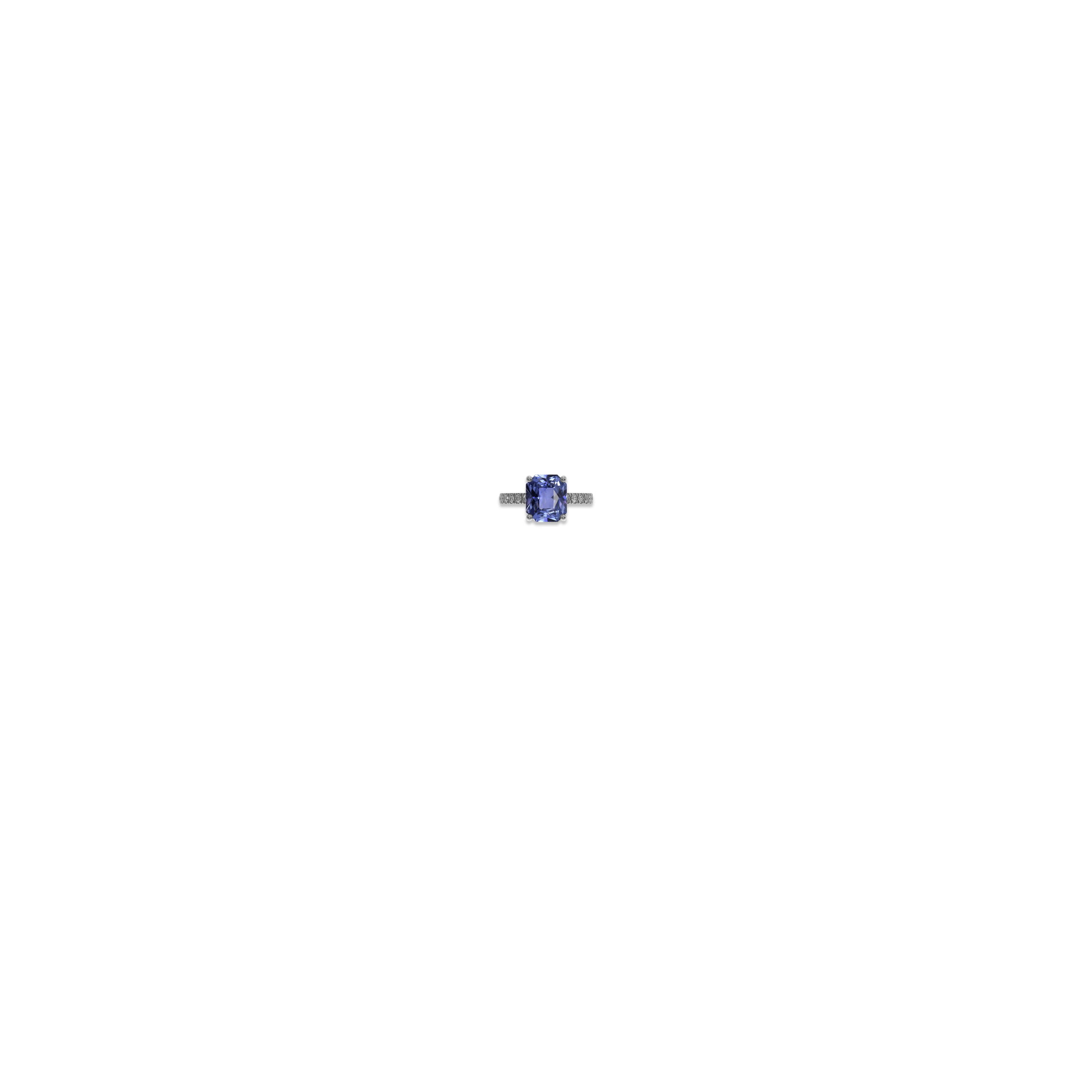 Jewelry image on model