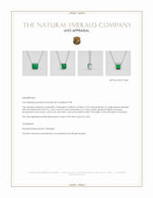 Jewelry Appraisal