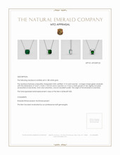 Jewelry Appraisal