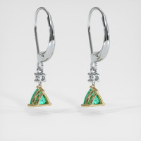 0.77 Ct.Tw. Gemstone Earrings, 14K Yellow & White 4