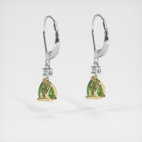 <span>1.10</span>&nbsp;<span class="tooltip-light">Ct.Tw.<span class="tooltiptext">Total Carat Weight</span></span> Gemstone Earrings, 14K Yellow & White 4