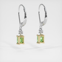 <span>0.71</span>&nbsp;<span class="tooltip-light">Ct.Tw.<span class="tooltiptext">Total Carat Weight</span></span> Gemstone Earrings, 14K Yellow & White 4