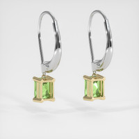 <span>0.71</span>&nbsp;<span class="tooltip-light">Ct.Tw.<span class="tooltiptext">Total Carat Weight</span></span> Gemstone Earrings, 14K Yellow & White 4