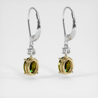 <span>1.60</span>&nbsp;<span class="tooltip-light">Ct.Tw.<span class="tooltiptext">Total Carat Weight</span></span> Gemstone Earrings, 14K Yellow & White 4