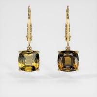 <span>3.16</span>&nbsp;<span class="tooltip-light">Ct.Tw.<span class="tooltiptext">Total Carat Weight</span></span> Gemstone Earrings, 14K Yellow Gold 1