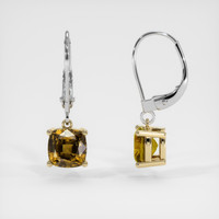 <span>4.21</span>&nbsp;<span class="tooltip-light">Ct.Tw.<span class="tooltiptext">Total Carat Weight</span></span> Gemstone Earrings, 14K Yellow & White 2