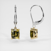 <span>1.68</span>&nbsp;<span class="tooltip-light">Ct.Tw.<span class="tooltiptext">Total Carat Weight</span></span> Gemstone Earrings, 14K Yellow & White 2