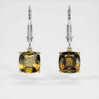 <span>3.16</span>&nbsp;<span class="tooltip-light">Ct.Tw.<span class="tooltiptext">Total Carat Weight</span></span> Gemstone Earrings, 14K Yellow & White 1