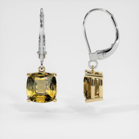 <span>3.16</span>&nbsp;<span class="tooltip-light">Ct.Tw.<span class="tooltiptext">Total Carat Weight</span></span> Gemstone Earrings, 14K Yellow & White 2