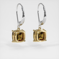 <span>3.16</span>&nbsp;<span class="tooltip-light">Ct.Tw.<span class="tooltiptext">Total Carat Weight</span></span> Gemstone Earrings, 14K Yellow & White 4